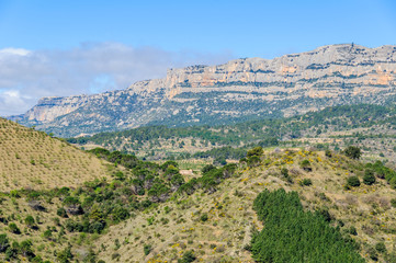 Fototapeta premium The chain of the Montsant mountain, Spain
