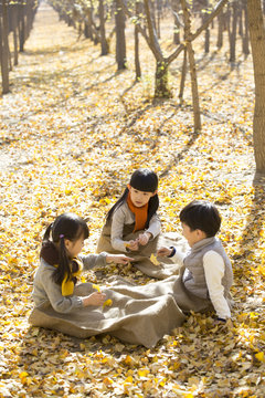 Three children playing and talking in autumn woods