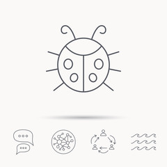 Ladybug icon. Ladybird insect sign.