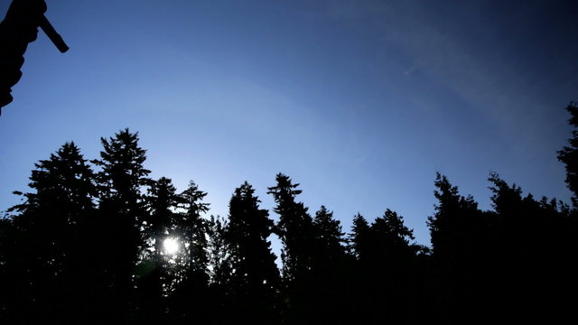 Traditional Indigenous Indian Totem Pole Thunderbird Park Vancouver