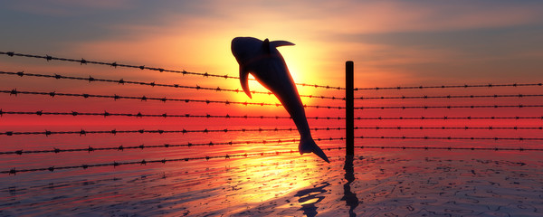 barbed wire and leaping dolphin for free