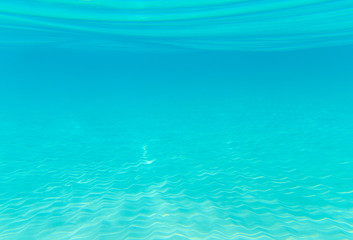 Tranquil underwater scene with copy space