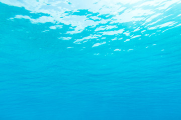 Tranquil underwater scene with copy space