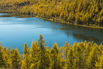 Arxan National Forest Park in Inner Mongolia province,China