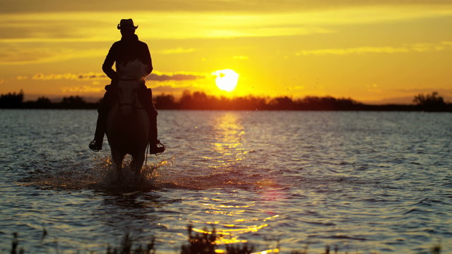 Cowboy Camargue animal horse sunset sea marshland