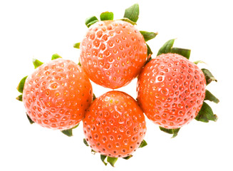 Four Half-ripe Strawberries with leaves
