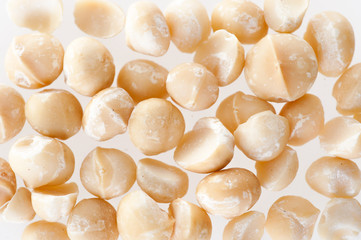 Macadamia nuts