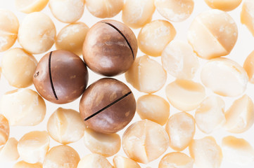 Macadamia nuts