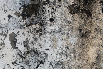 White walls