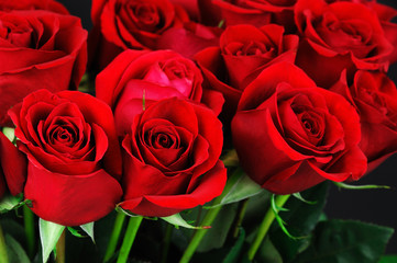 close up on bouquet of red roses