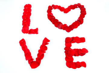 love word by red rose petal on white background