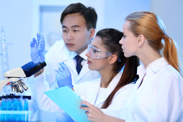 Fototapeta premium Young medical technicians working in laboratory