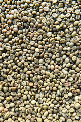 green bean coffee beans for background