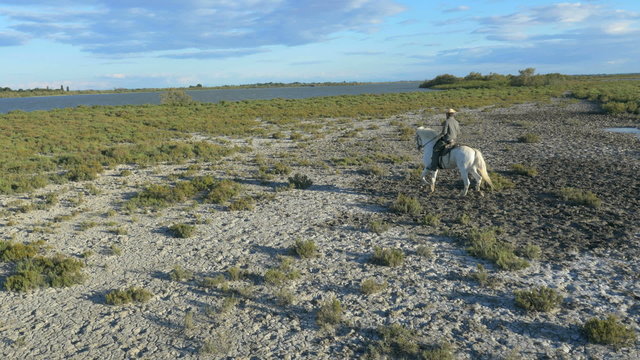 Aerial cowboy Camargue horse freedom wetland livestock tourism 