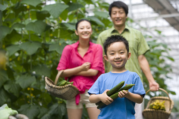 Family gardening in modern farm