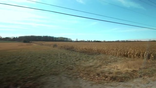 Driving plate: passing a field of corn (maize) and farm land on the right hand side (driver side) of vehicle. 11mm lens, wide with lens flare.  Stabilized clip, originally recorded in 4K, UHD.