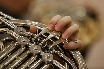 Fototapeta premium The fingers of the musician playing the French horn