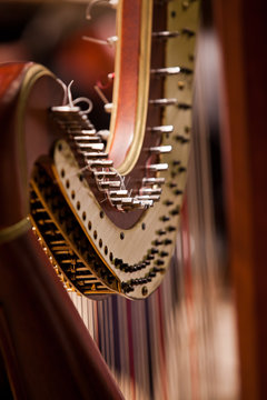 Detail of harp closeup