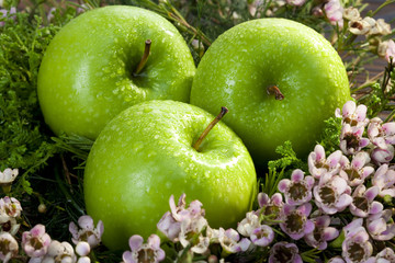 Fresh apples