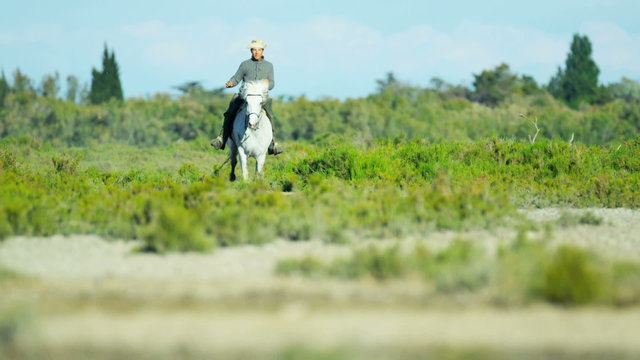 Cowboy France Camargue rider horse energy livestock running 