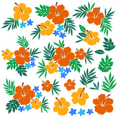 ハイビスカスのイラスト