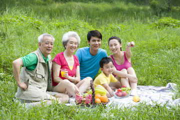 Fototapeta premium Portrait of a family picnicking