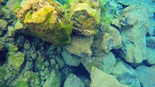Iceland Silfra Thingvellir Tectonic Plates fault underwater