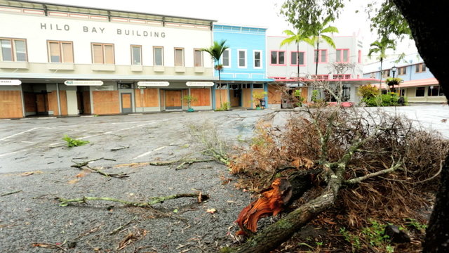 Hilo tree damage building flood prevention tropical storm Iselle Hawaii
