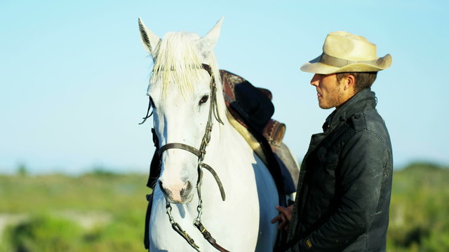 Horse cowboy male animal white livestock Camargue travel