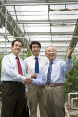 Businessmen in modern farm