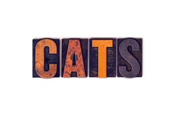 Cats Concept Isolated Letterpress Type