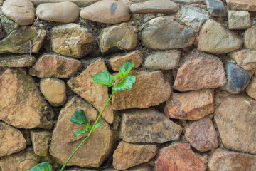 stone texture