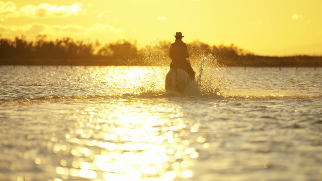 Cowboy Camargue rider animal horse sunrise galloping water