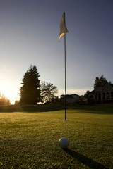Obraz premium The last shot , gold concepts