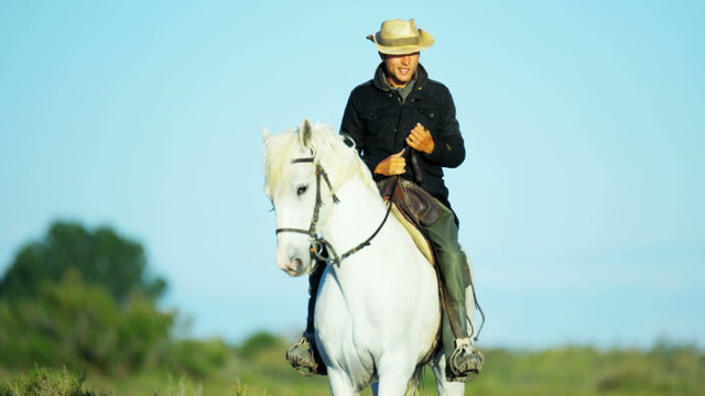 Cowboy France Camargue rider grey horse energy livestock 