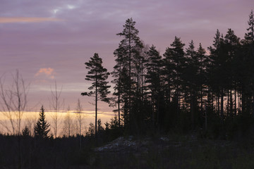 Sunrise behind the forest