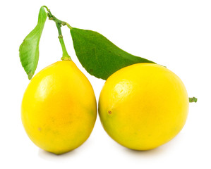 Two lemons with leaf