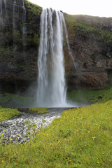 Fototapeta na wymiar Seljalandsfoss Waterfall in Iceland
