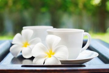 Cups with fresh beverage and Plumeria flowers