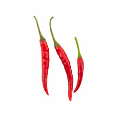 Red chili or chili peppe.