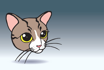 head cat cartoon