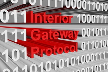 Interior Gateway Protocol is presented in the form of binary code