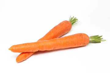 Fresh carrot