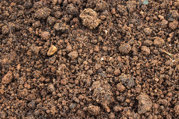 Soil surface texture background