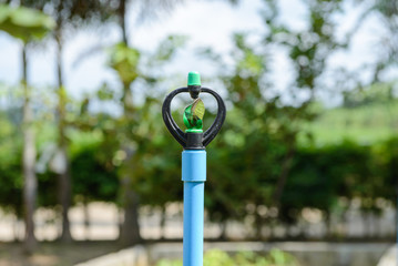 Fototapeta premium Sprinkler, Garden irrigation system watering lawn