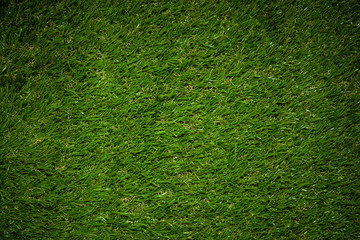 Obraz premium Background of a green grass. Texture green lawn