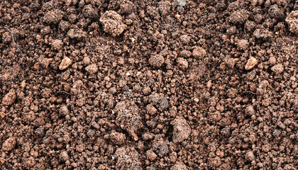Soil surface texture background
