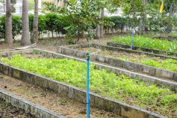 Sprinkler, Garden irrigation system watering lawn.