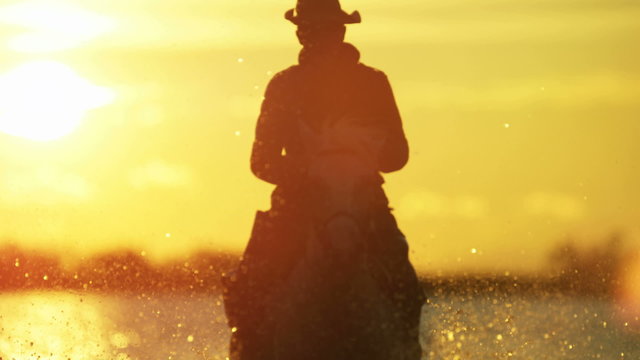 Cowboy Camargue rider animal horse sunset running sea 