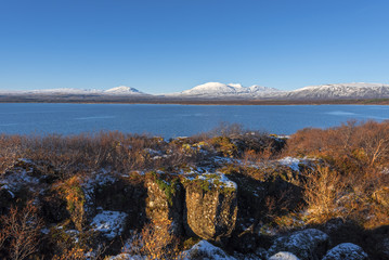 Iceland, Beautiful arctic landscape, wild field with bright yellow grass and moss and distant black hills against the background of blue sky